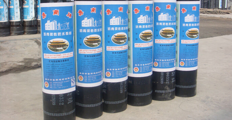 黑豹防水材料 性能評測與選購指南