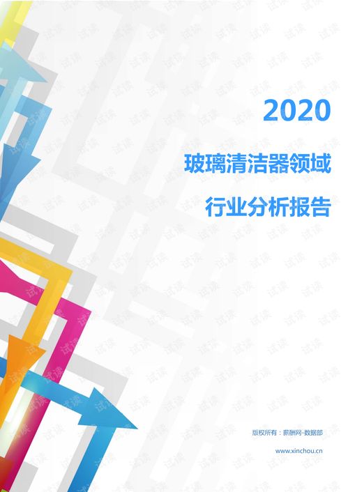 2020年家電家居清潔用品行業玻璃清潔器領域行業分析報告